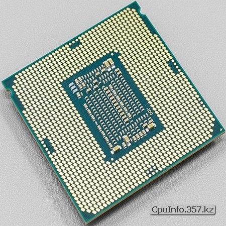 Процессор G5600T фото обратной стороны